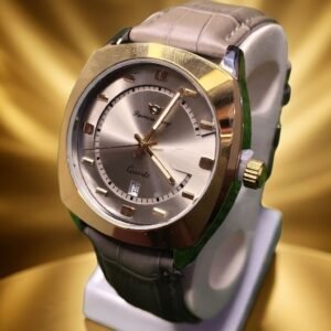 Success Way R Quartz Sports Watch